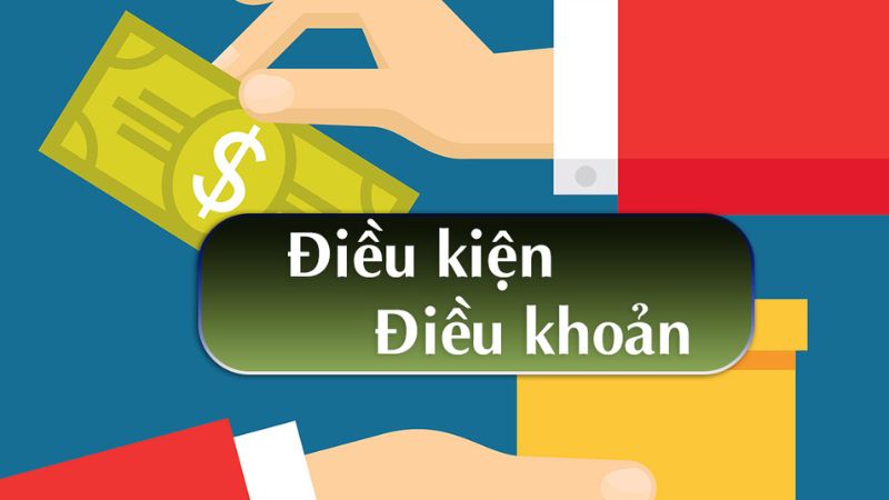 Những điều khoản tại nền tảng này luôn là đáng tin cậy nhất