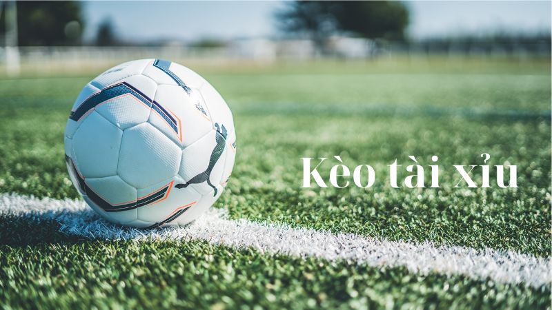Tỷ lệ kèo tài xỉu cũng rất hấp dẫn người chơi