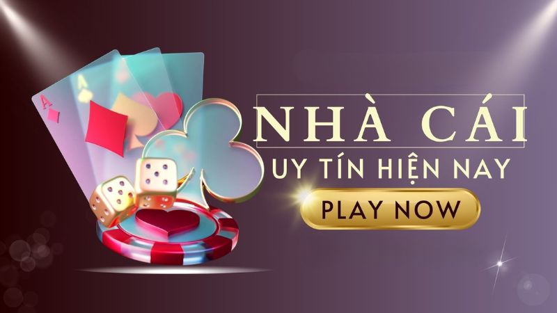 Bạn nên kiểm tra mức độ chuyên nghiệp của dịch vụ CSKH