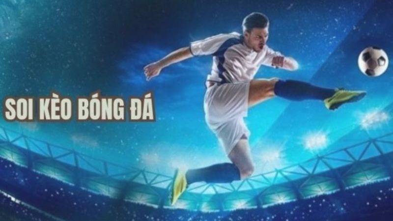 Tìm hiểu kỹ lưỡng để tránh những bẫy nhà cái đưa ra